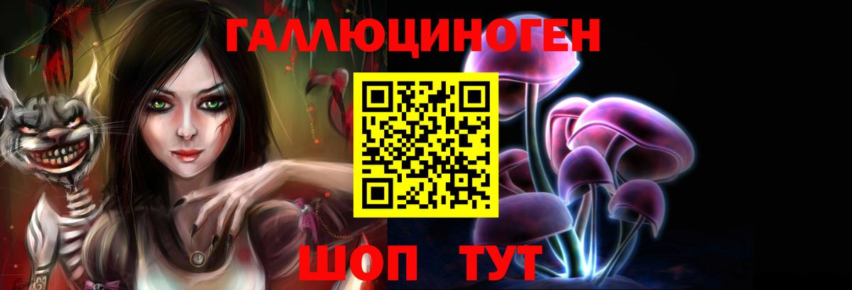 Псилоцибиновые грибы мицелий Анапа